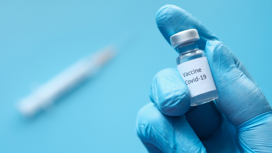 Vindicated+Vaccines