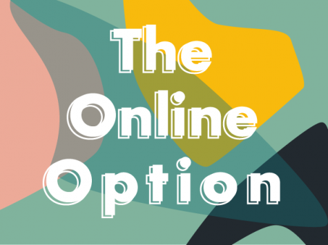 The Online Option - In-depth Interview