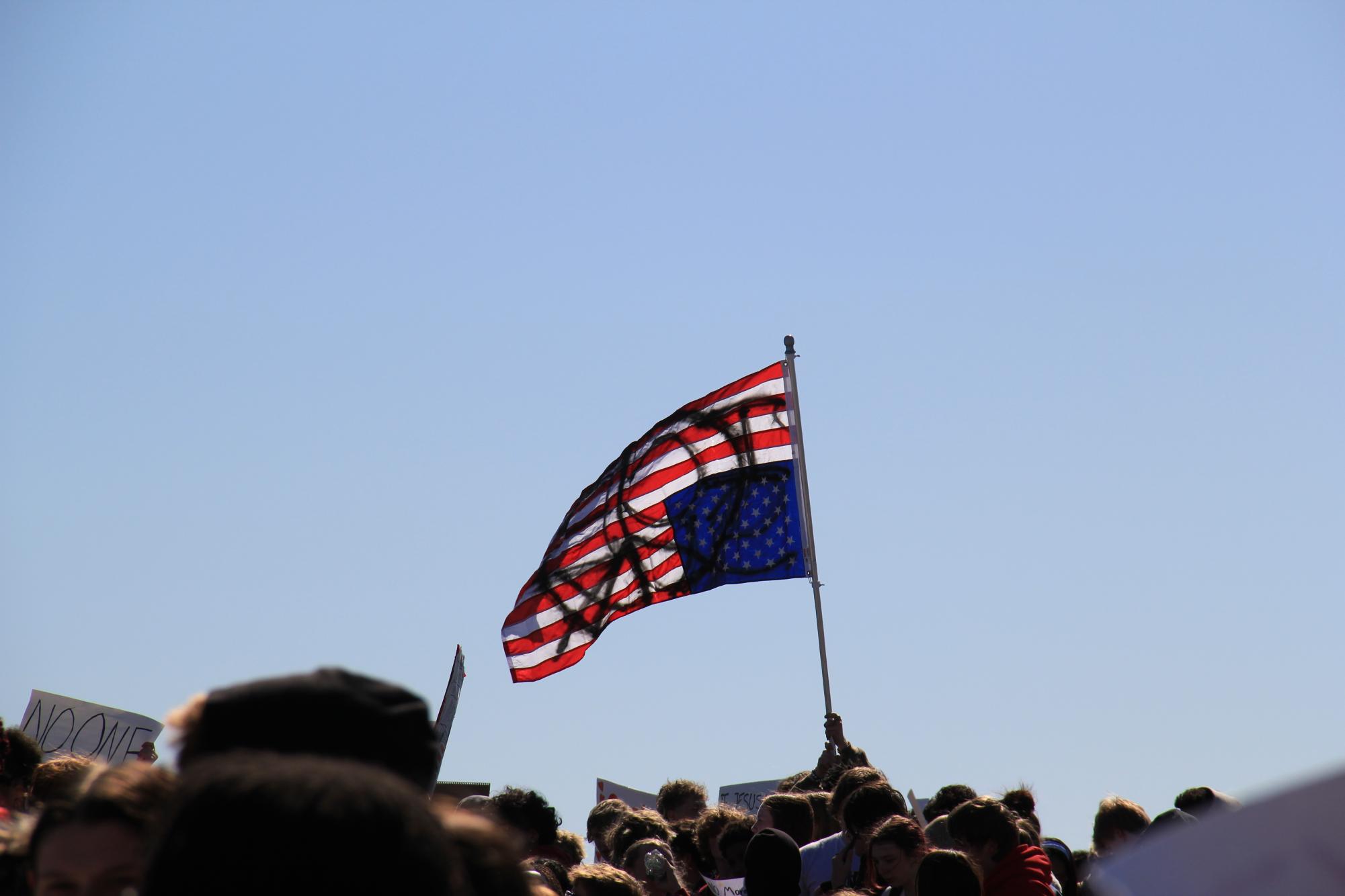 Flying flags against ICE. Approximately 300 students marched out of school for the ‘ICE Walkout’. “So many people are showing up for such an important cause and more people need to stand with us and say, melt ice. No more ice,” a student named Elizabeth said. Photo by Addison Williams.